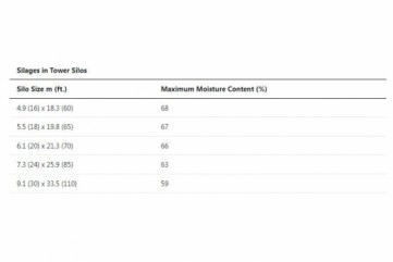 silages in tower silos