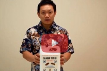 Video Silogud, Atasi Hama Gudang Hingga Tuntas