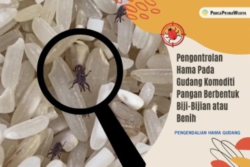 Pengontrolan Hama Pada Gudang Komoditi Pangan Berbentuk Biji-Bijian atau Benih